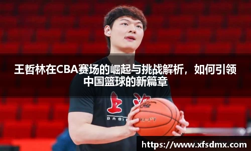 王哲林在CBA赛场的崛起与挑战解析,如何引领中国篮球的新篇章